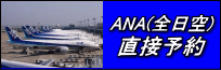 ANA全日空直接予約